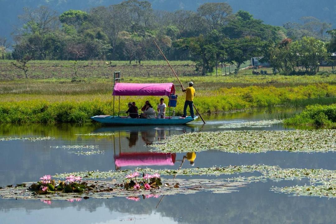 Photo of Others in Xochimilco