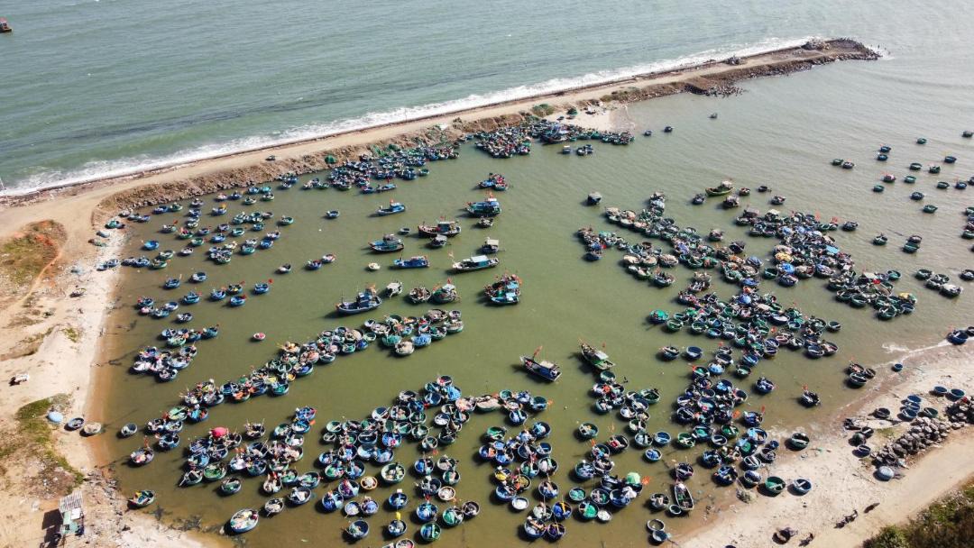 Photo of Human In Picture in Phan Thiet