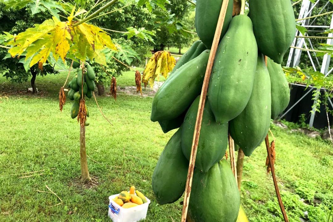 Photo of Outdoor in Shoufeng