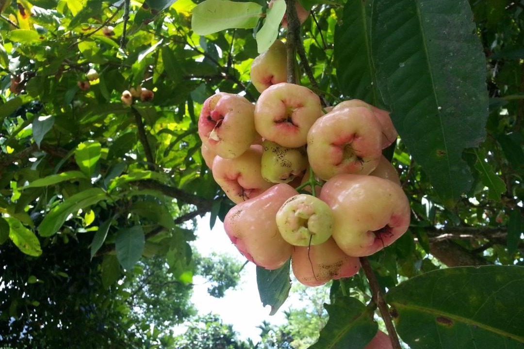 Photo of Outdoor in Shoufeng