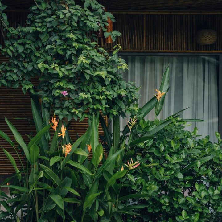 Photo of Others in Hoa Lu