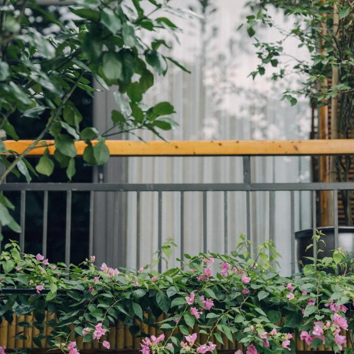 Photo of Others in Hoa Lu
