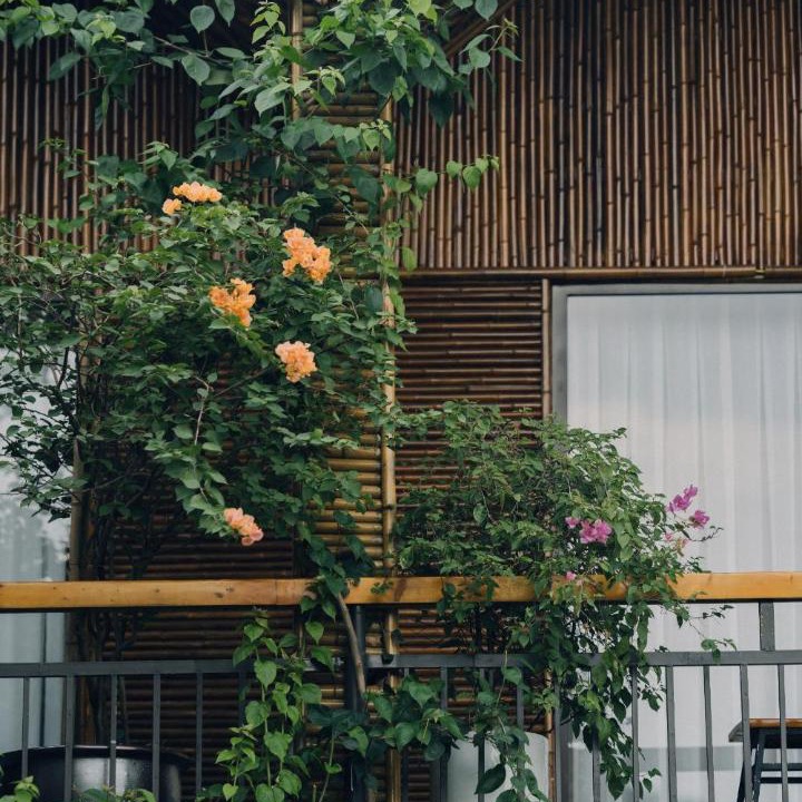 Photo of Others in Hoa Lu