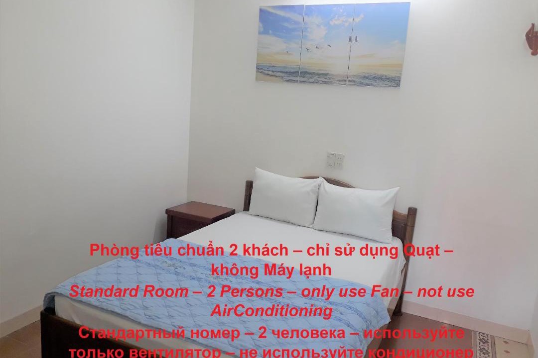 Photo of Others in Vinh Hai