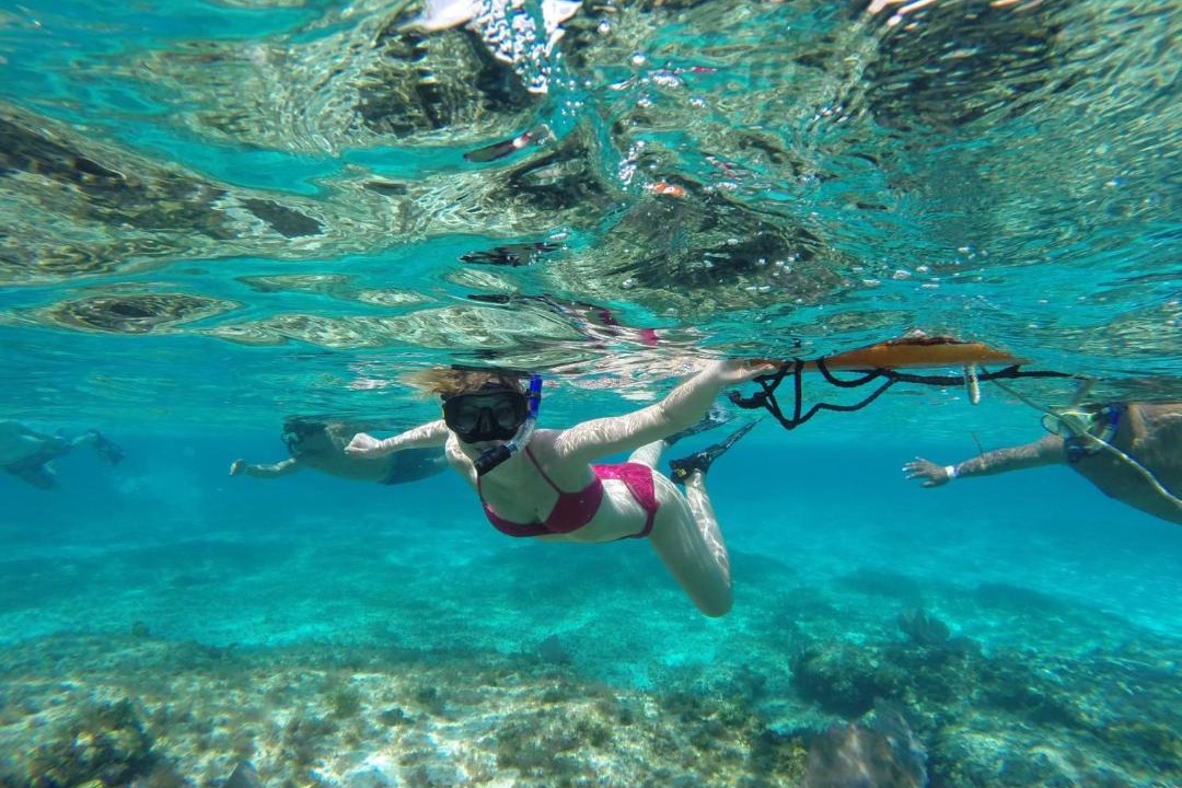 Photo of Others in Cozumel
