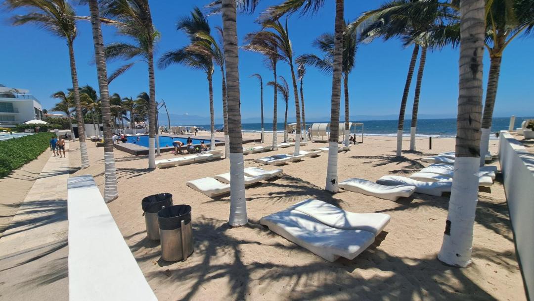 Photo of Others in Flamingos