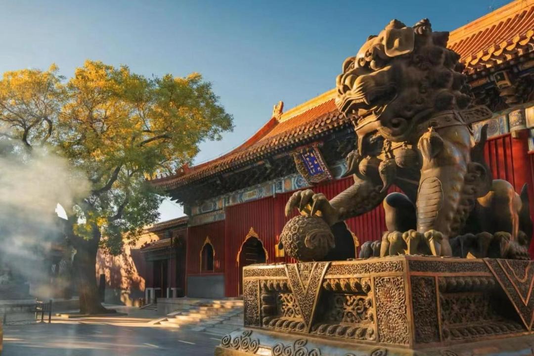 Photo of Others in Dongzhimen