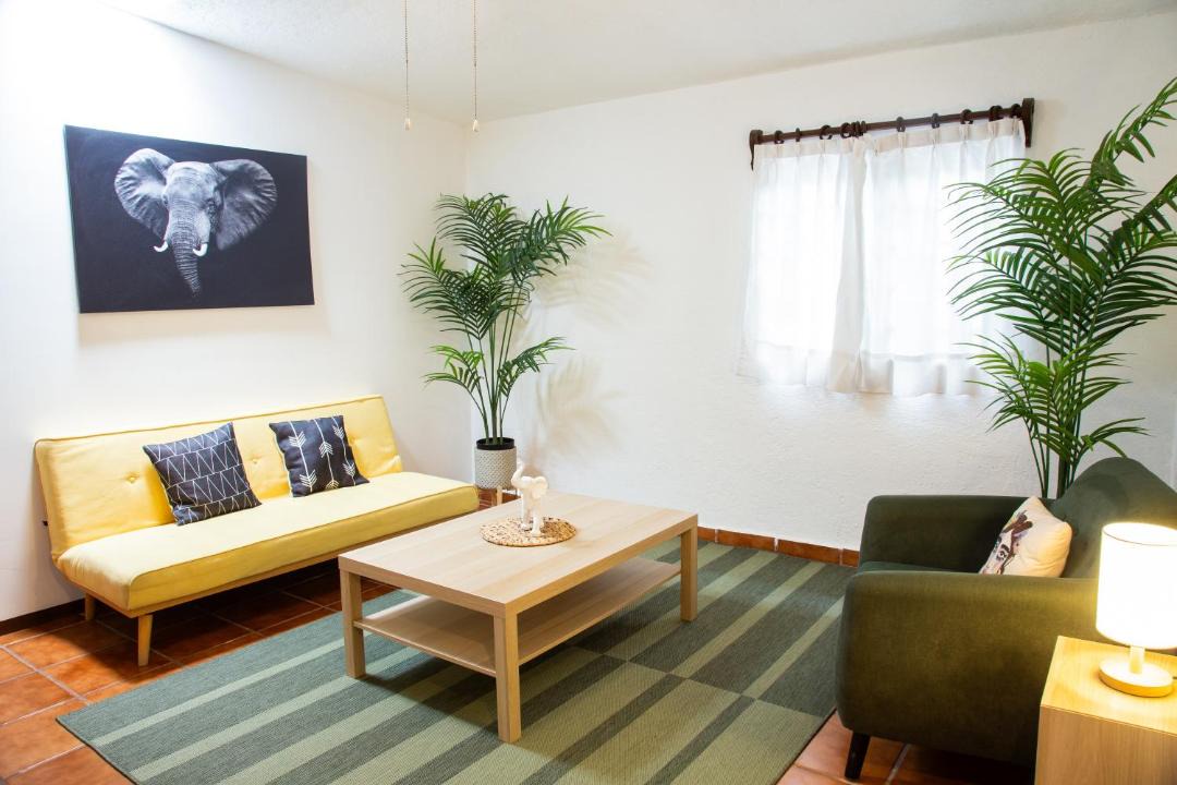 Photo of Livingroom in Tepoztlan