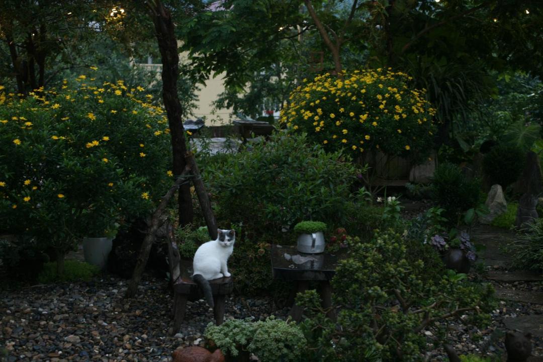 Photo of Others in Sa Pa