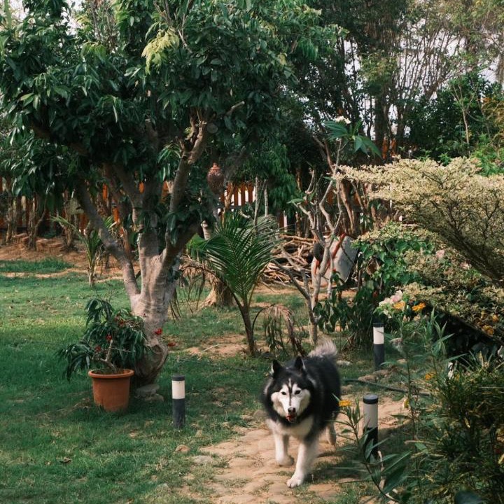 Photo of Others in Daguang