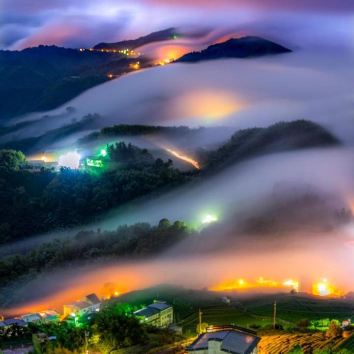 Photo of Others in Alishan