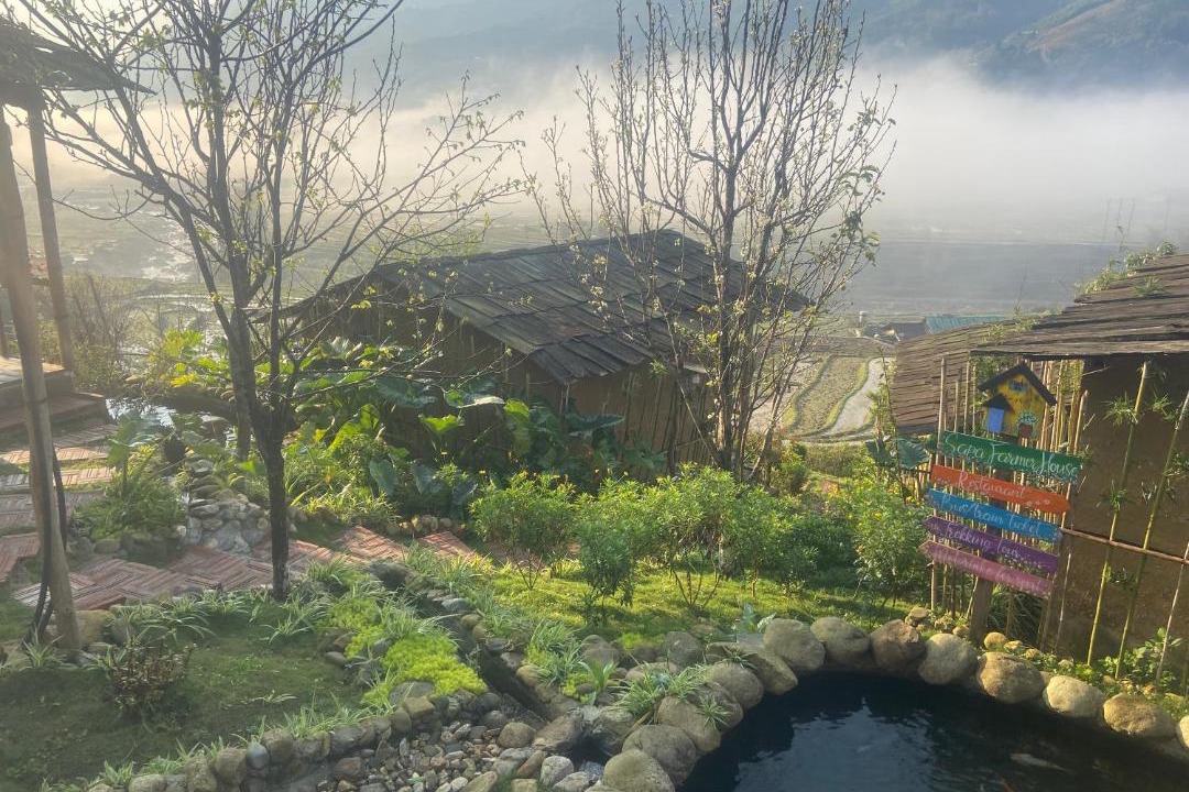 Photo of Others in Sa Pa