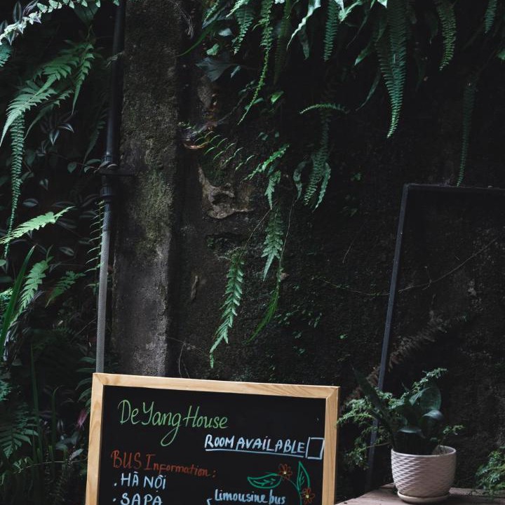 Photo of Others in Sa Pa