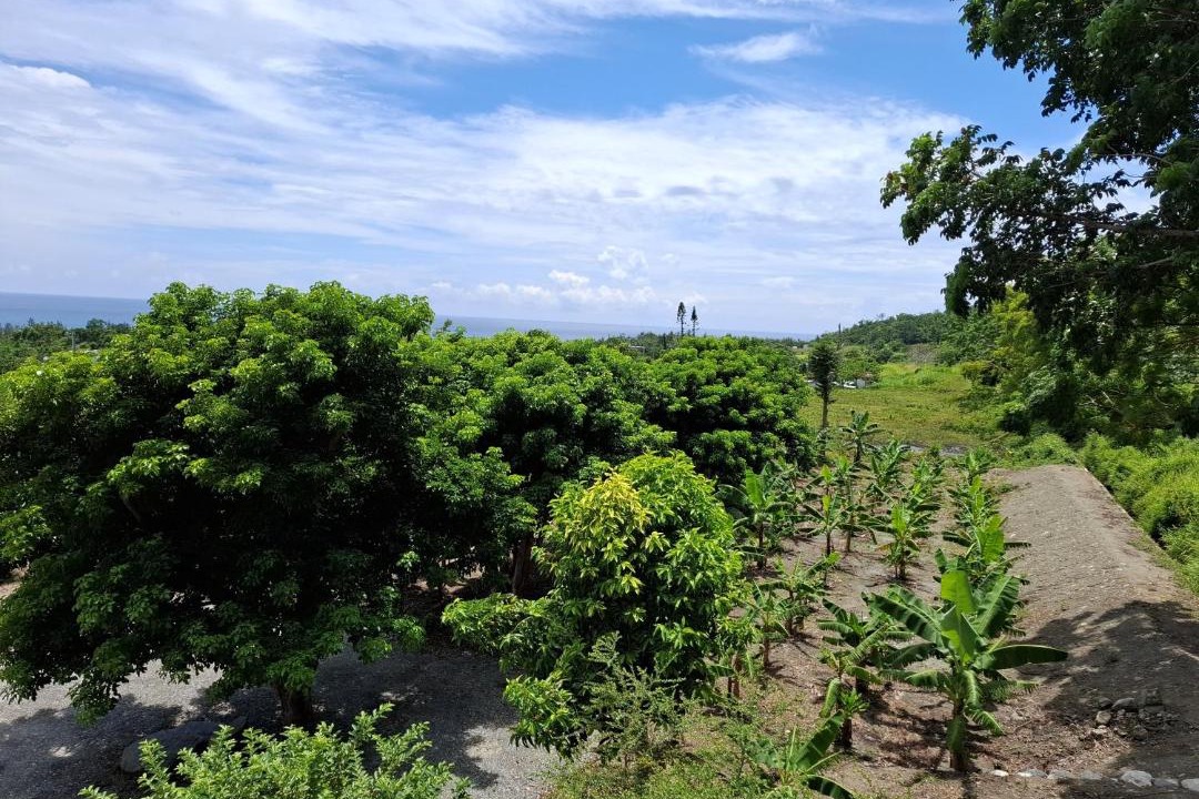 Photo of Others in Chenggong