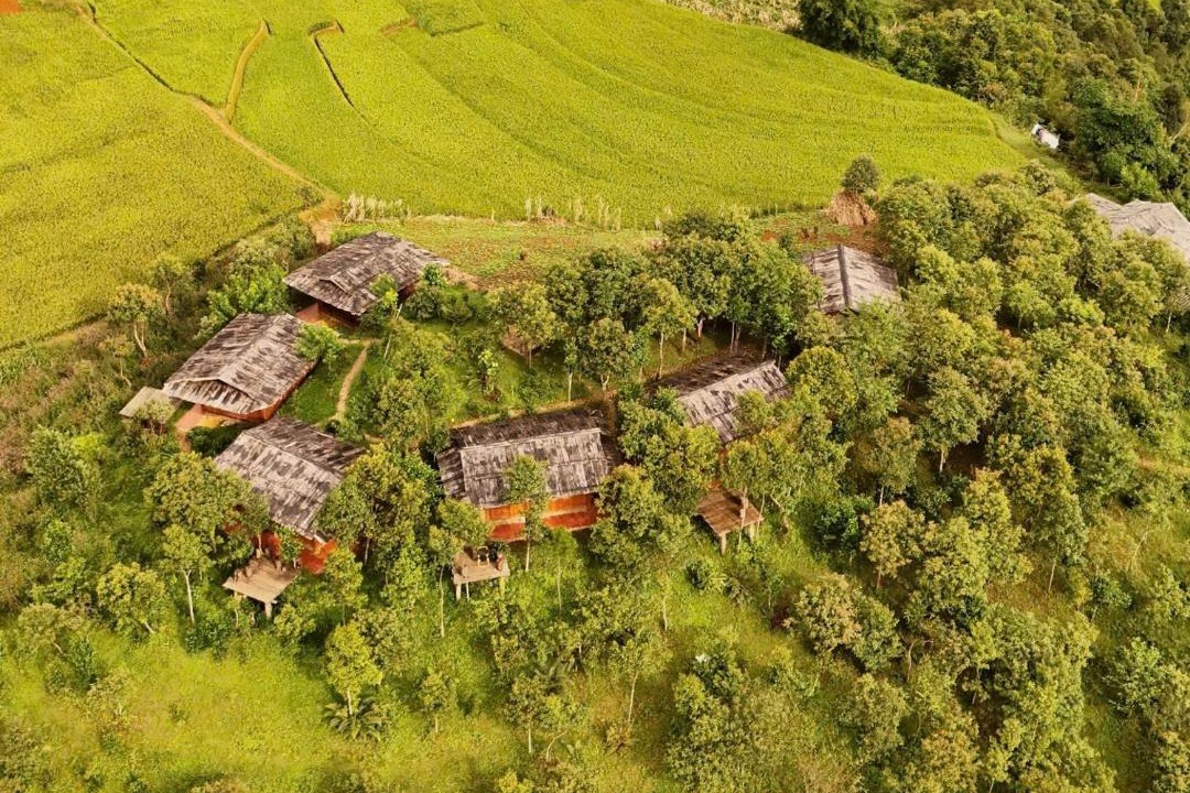 Photo of Others in Mu Cang Chai