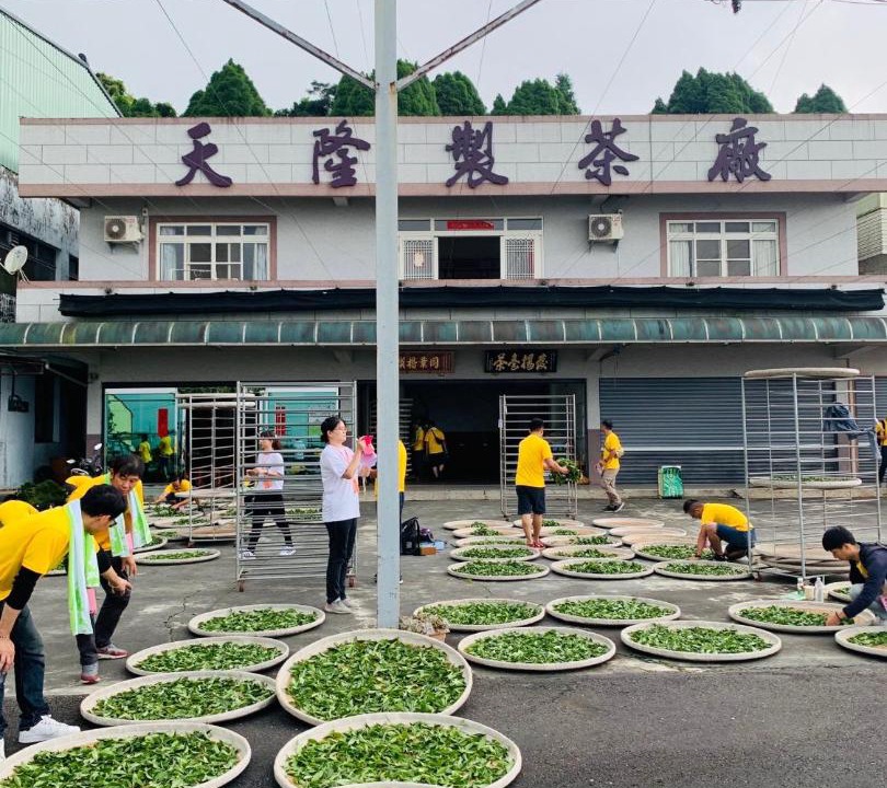 Photo of Outdoor in Alishan