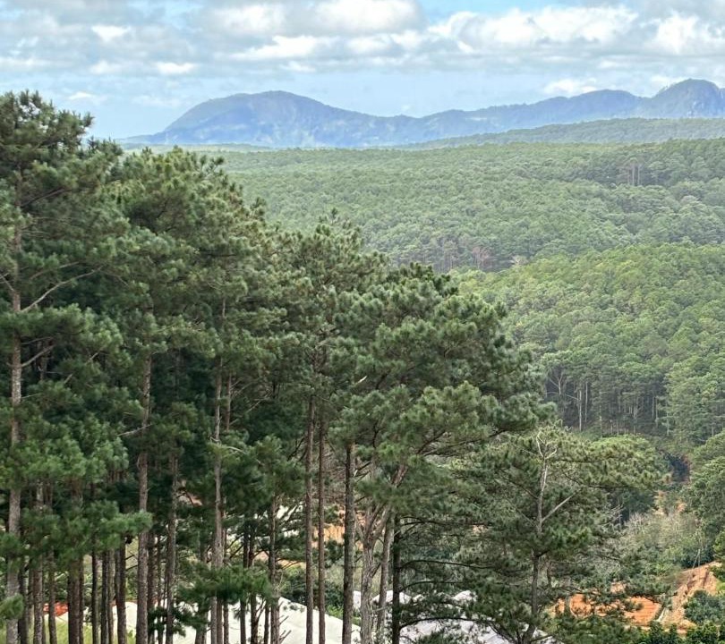 Photo of Others in Da Lat