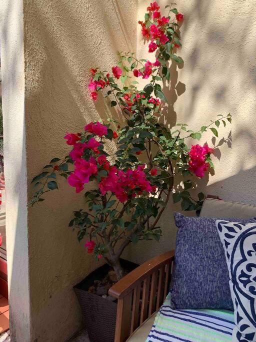 Photo of Patio Balcony in North End