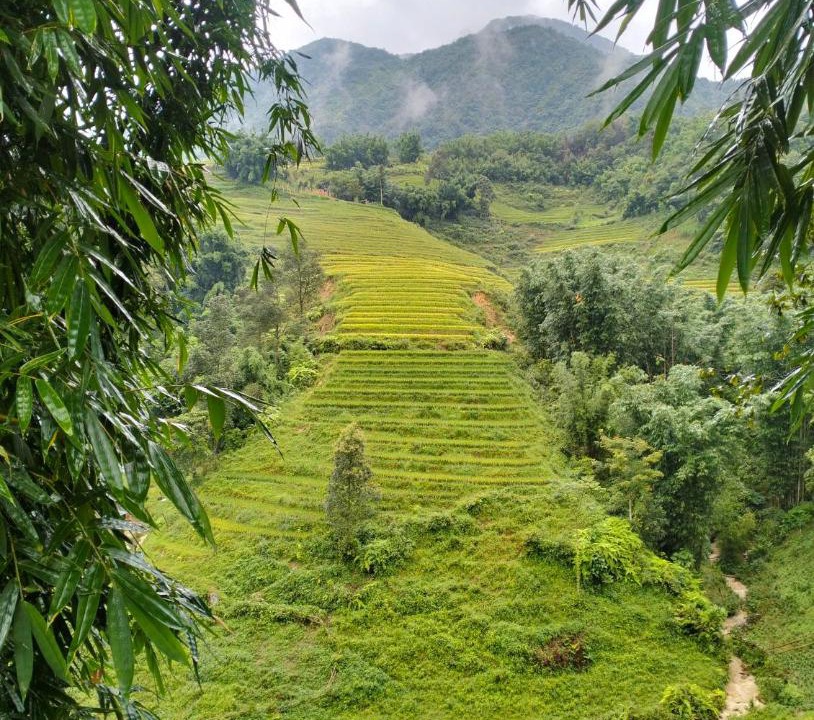 Photo of Others in Sa Pa