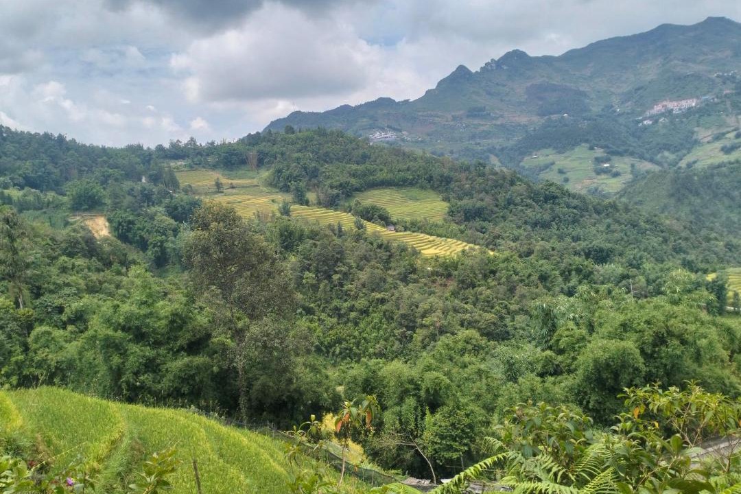 Photo of Others in Sa Pa
