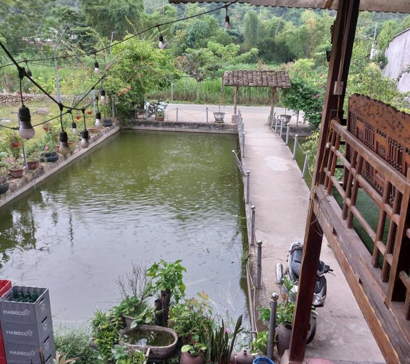Photo of Others in Yen Minh
