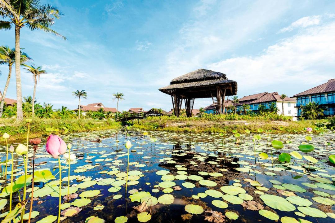 Photo of Others in Nui Thanh