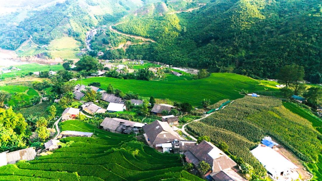 Photo of Others in Hau Thao