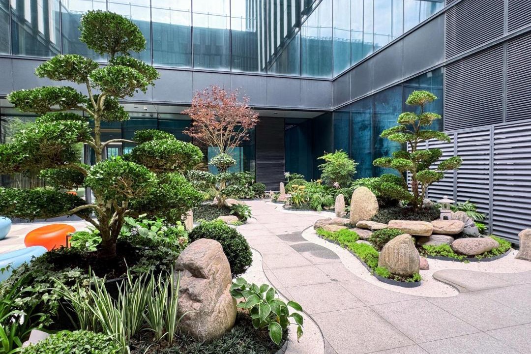 Photo of Others in Pudong