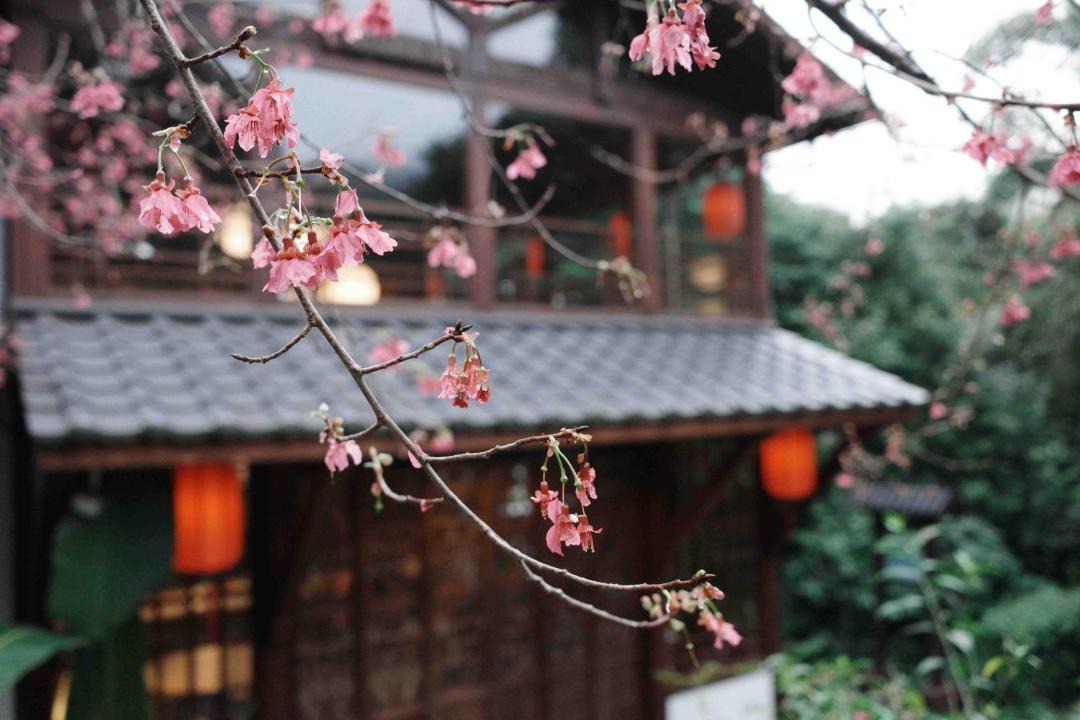 Photo of Others in Gongguan