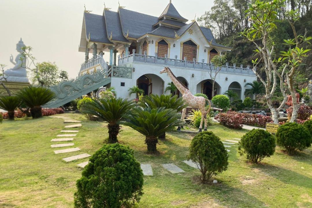 Photo of Others in Hoang Hoa