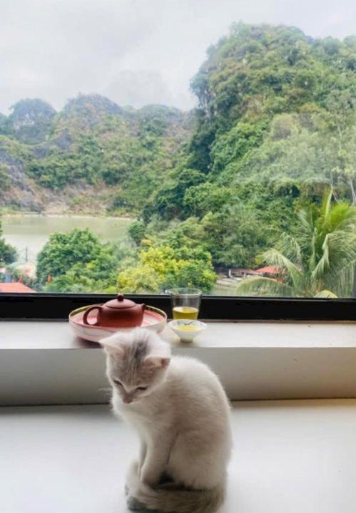 Photo of Others in Cat Ba