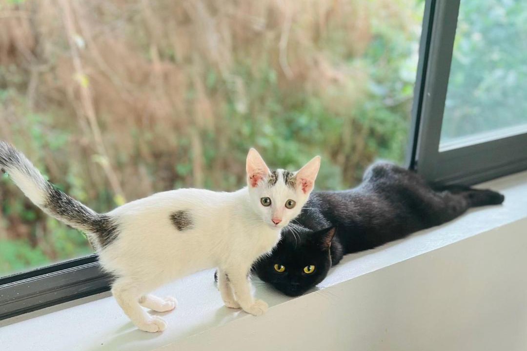 Photo of Others in Cat Ba