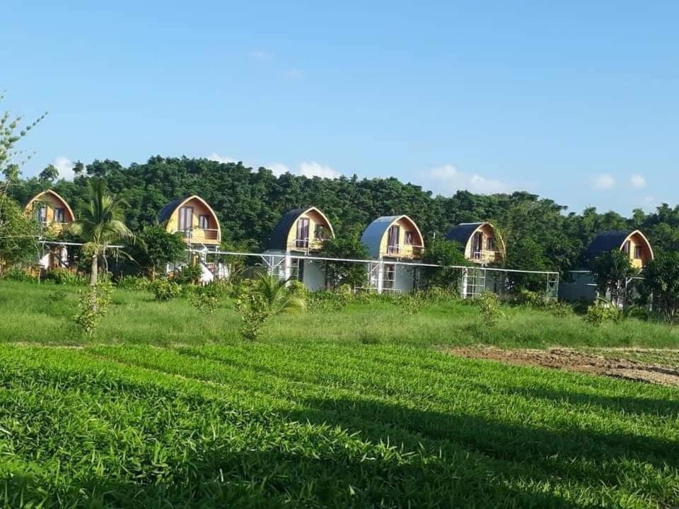Photo of Others in Dien Ban