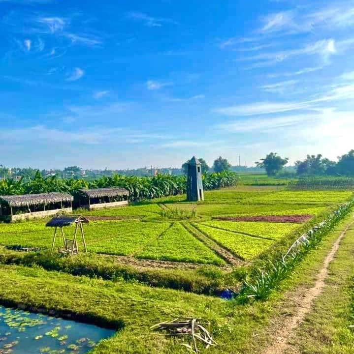 Photo of Others in Dien Ban