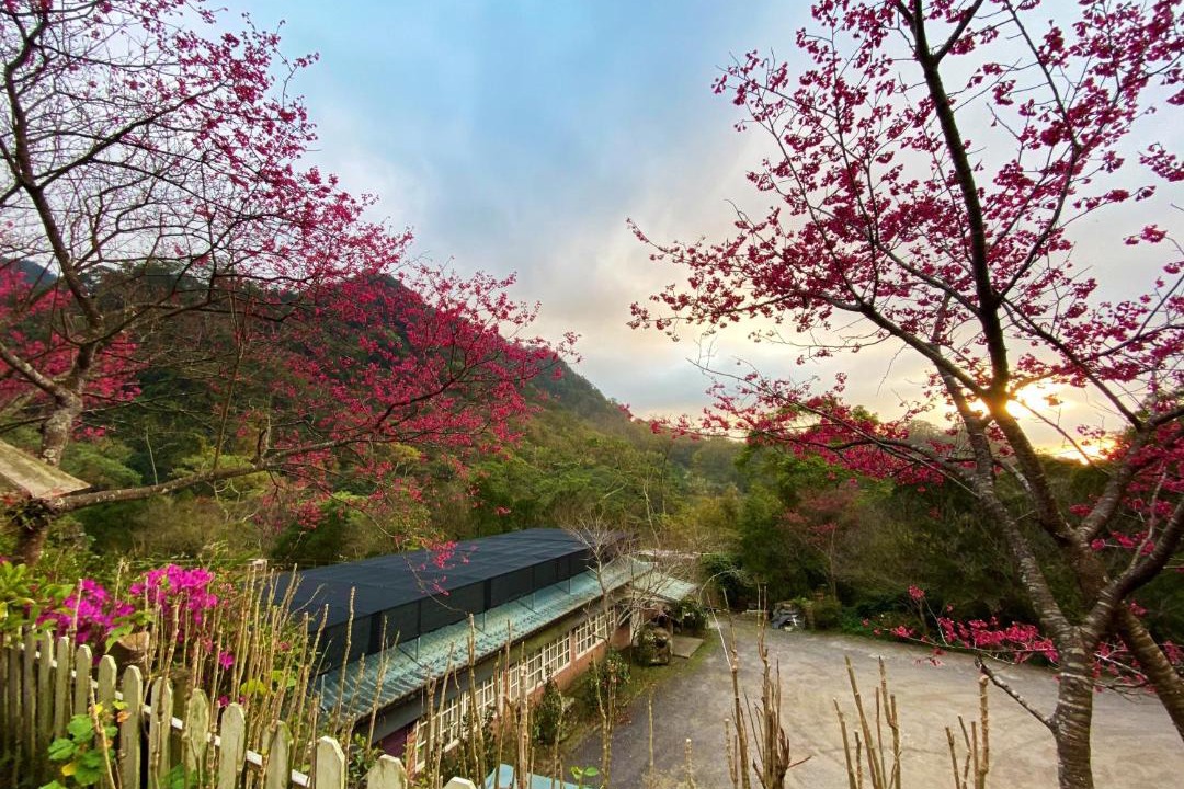 Photo of Others in Shitan