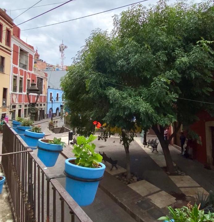 Photo of Others in Zona Centro