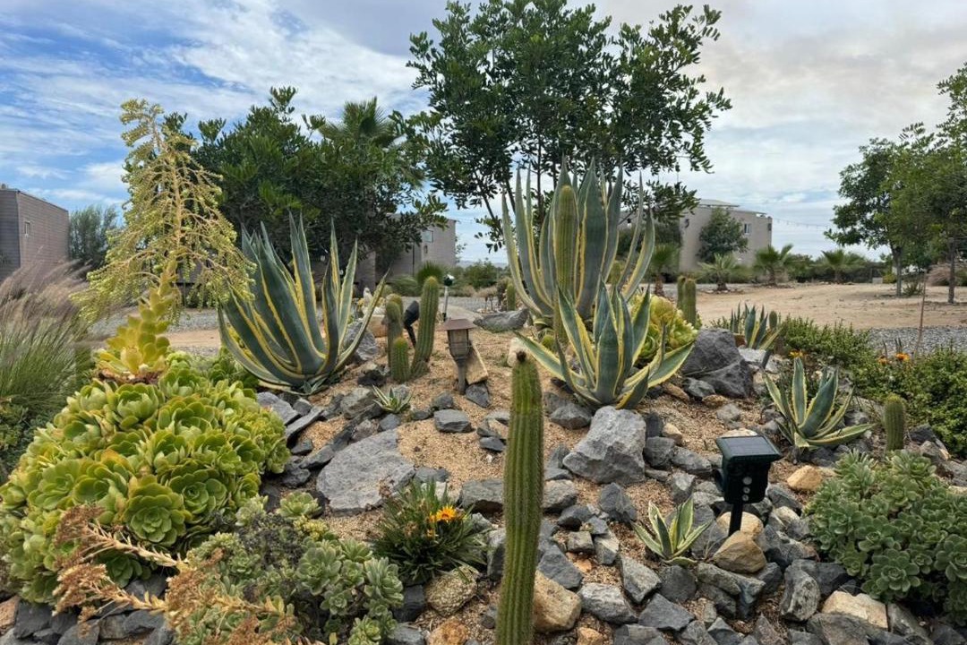 Photo of Others in Valle de Guadalupe