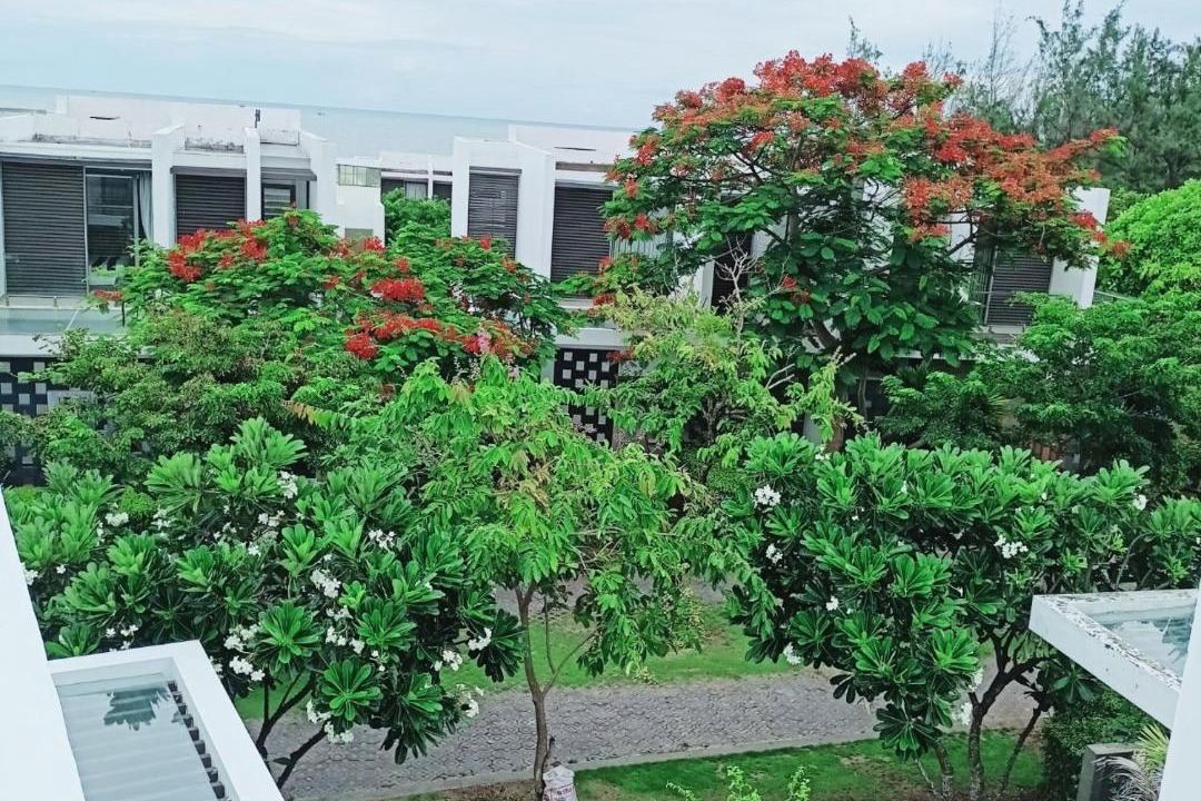 Photo of Others in Long Hai