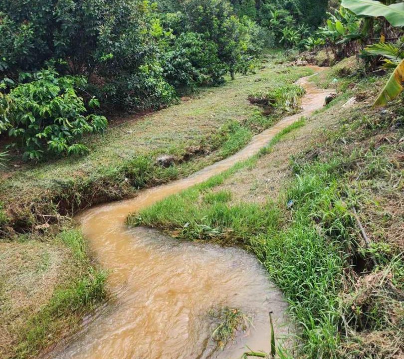 Photo of Others in Da Lat