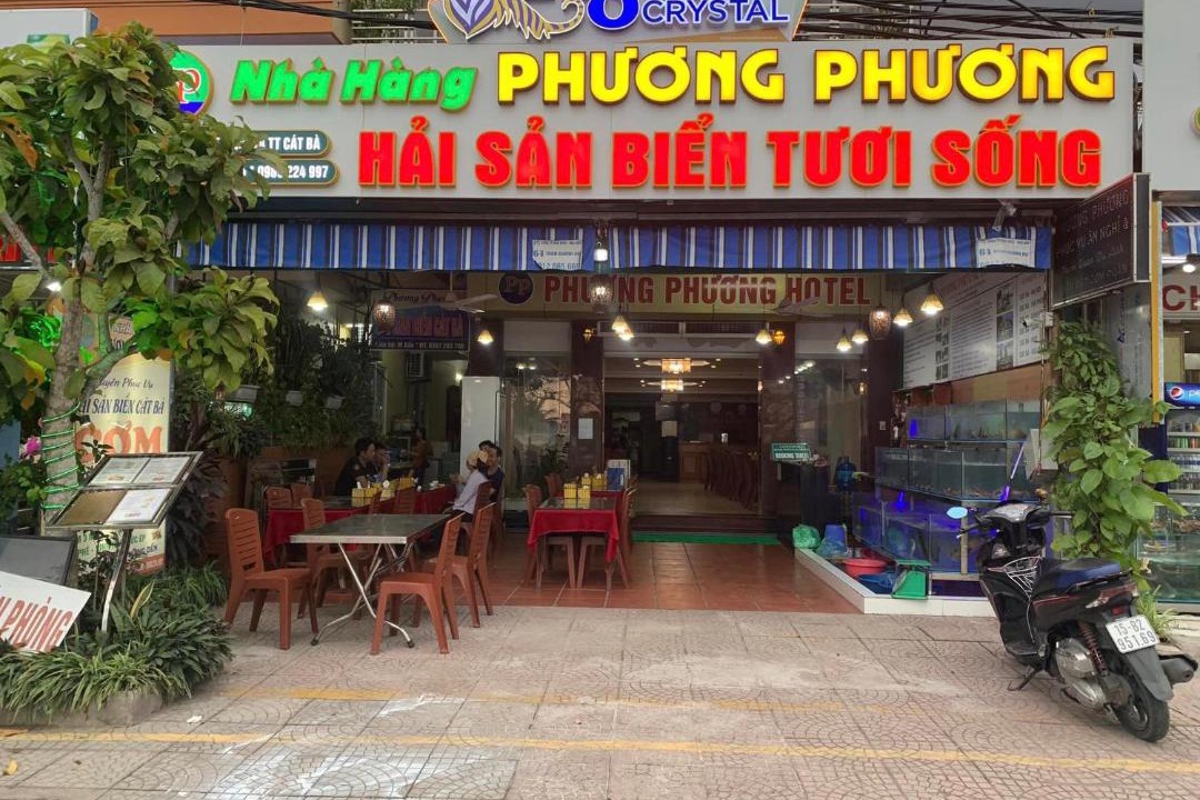 Photo of Others in Cat Ba