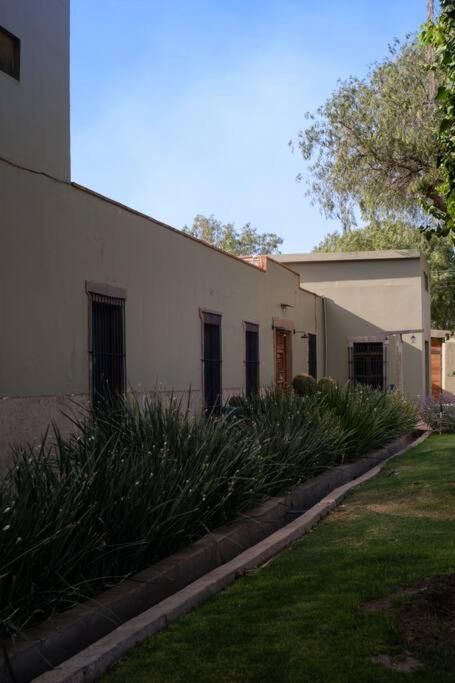 Photo of Buildings in Soledad de Graciano Sanchez