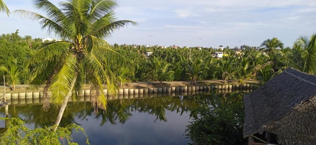 Photo of Outdoor in Cam Thanh