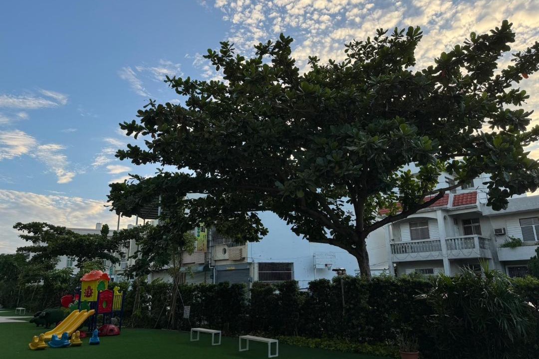 Photo of Others in Taitung City Centre