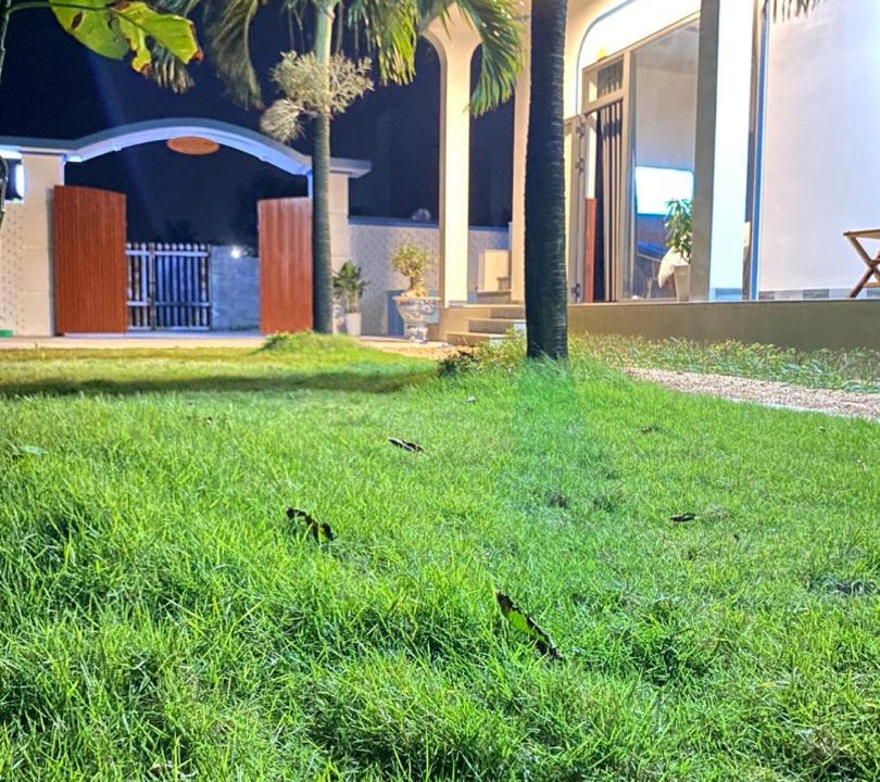 Photo of Others in Dong Hoa