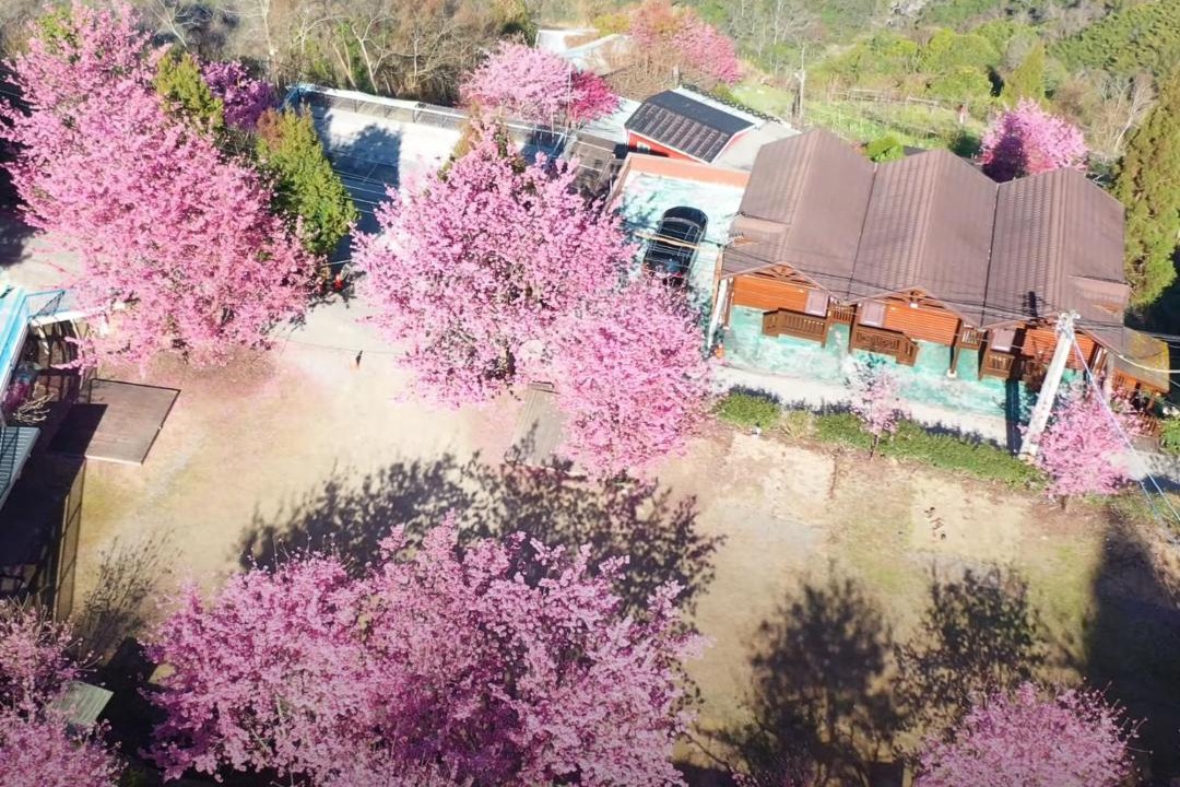 Photo of Others in Fuxing District