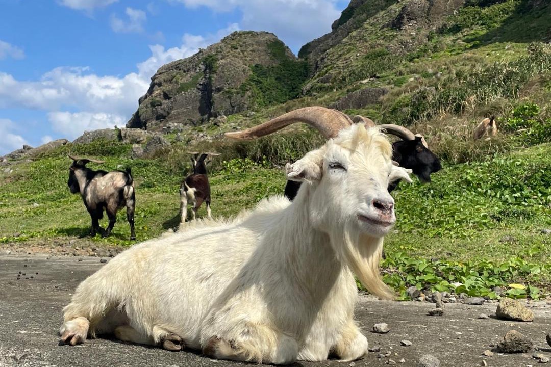 Photo of Others in Lanyu