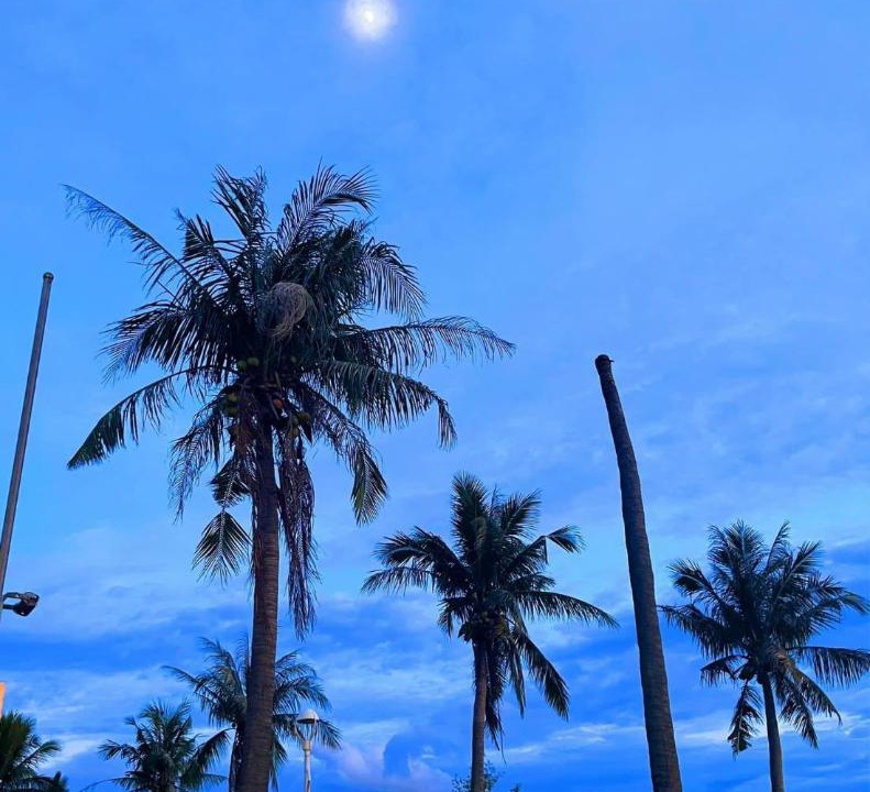 Photo of Others in South Beach