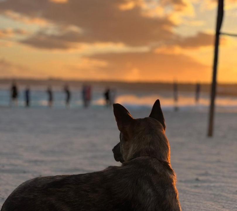 Photo of Human In Picture in South Beach