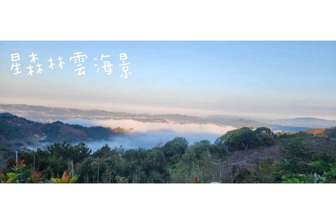 Photo of Others in Dongshi District