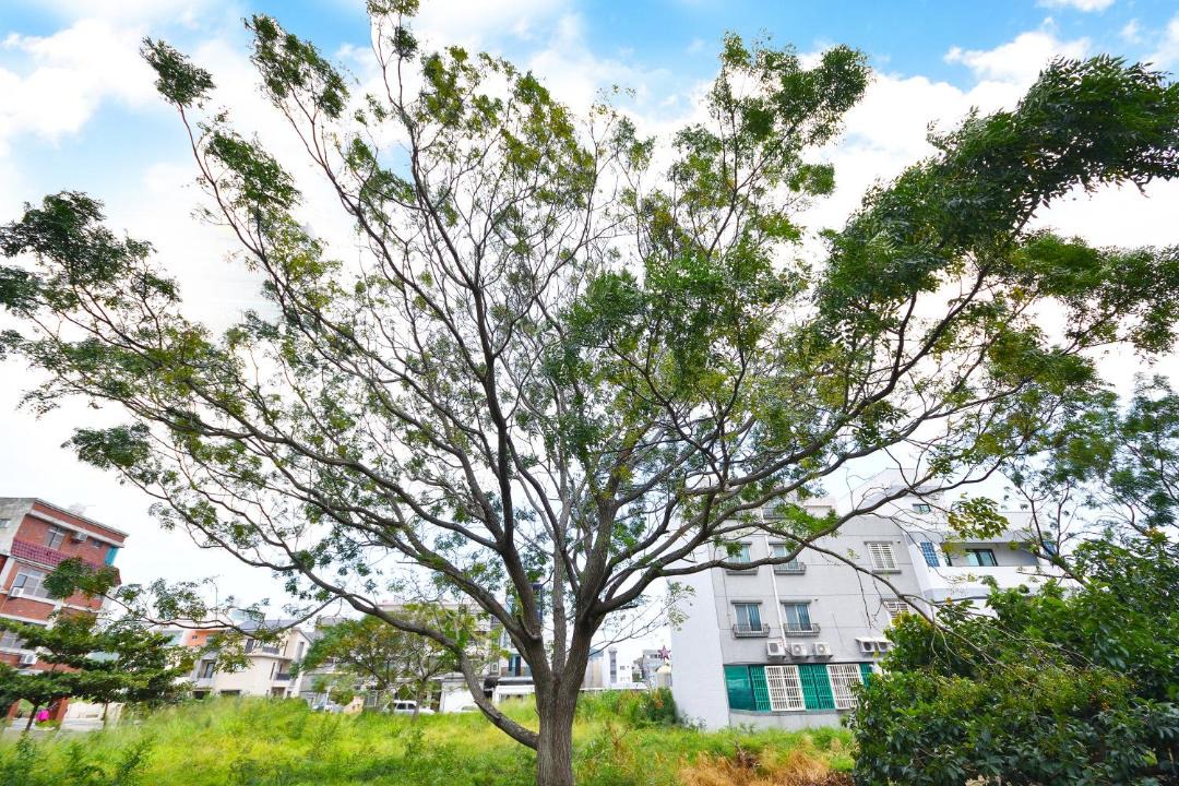 Photo of Others in Taitung